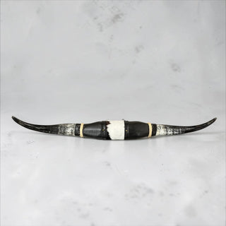 3.2ft Longhorn mount (012)