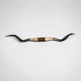 4-5ft Longhorn mount (f42)