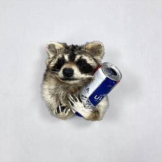 Raccoon taxidermy mount