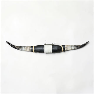 3.3ft Longhorn mount (w08)