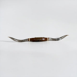 4-5ft Longhorn mount (f41)