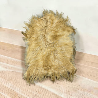 Camel longhair goat lambskin