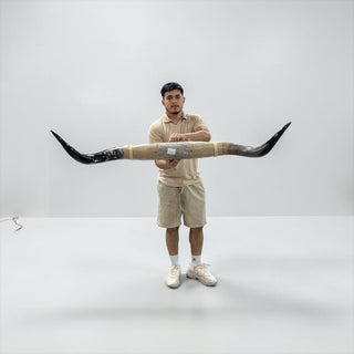 4-5ft Longhorn mount (f47)