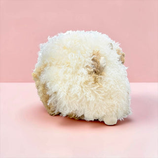 Round sheep