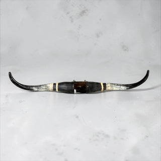 3.5ft Longhorn mount (c02)