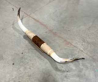 3.9ft Longhorn mount (d16)