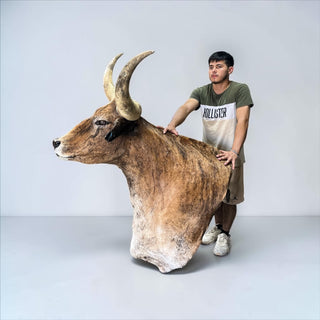 Longhorn shoulder mount