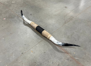 4.4ft Longhorn mount (d11)