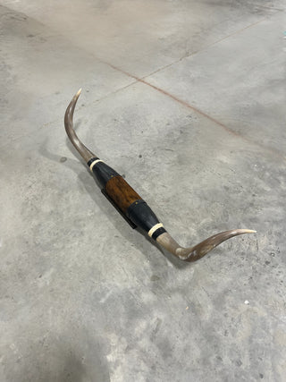 5-6ft Longhorn mount (f5)