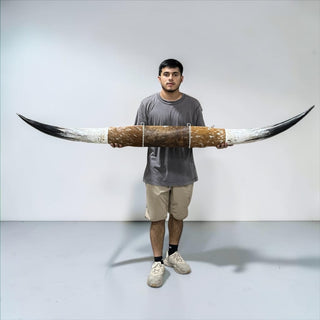 6.3ft Longhorn mount (b22)