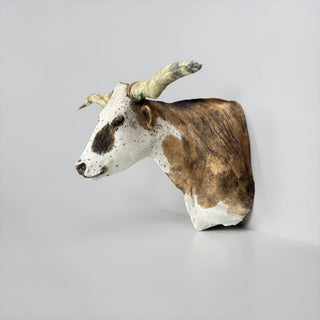 Longhorn shoulder mount