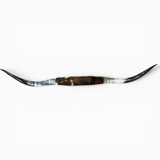 5.6’ Longhorn mount (k19)