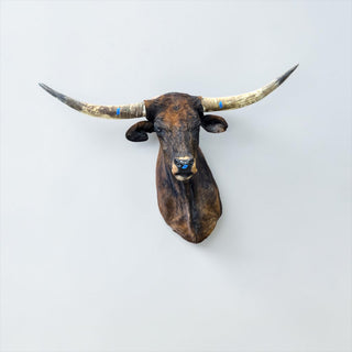 Longhorn shoulder mount