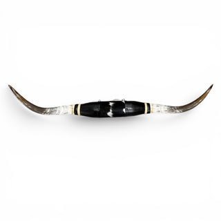 4.7’ Longhorn mount (p18)