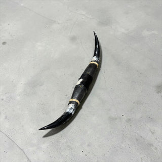 3-4ft Longhorn mount (f33)