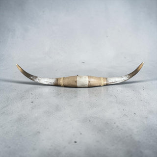 3-4ft Longhorn mount (f37)