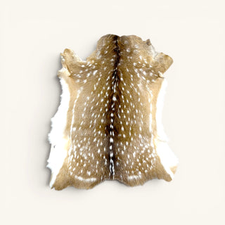 Deer Axis hide