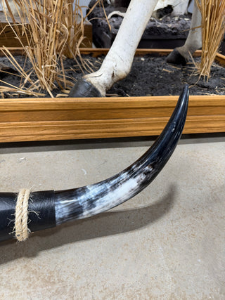 38” Longhorn mount (KK010)