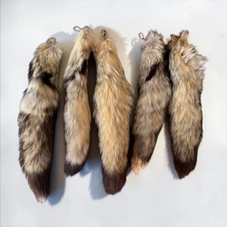 Red Fox tails