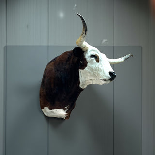 Cow shoulder mount