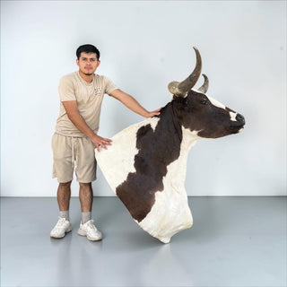 Longhorn shoulder mount