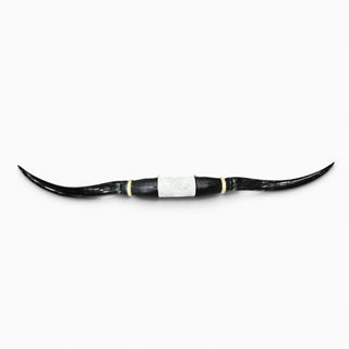 5.4’ Longhorn mount (k01)