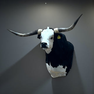 Cow shoulder mount