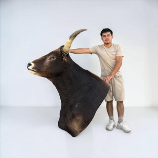 Longhorn shoulder mount