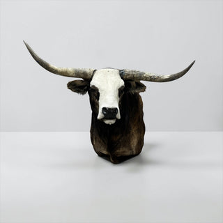 Cow shoulder mount