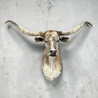 Longhorn shoulder mount