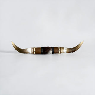 1.11ft Longhorn mount (f23)