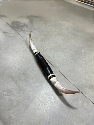 4.4ft Longhorn mount (g2)