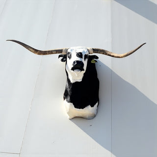 Black shoulder mount