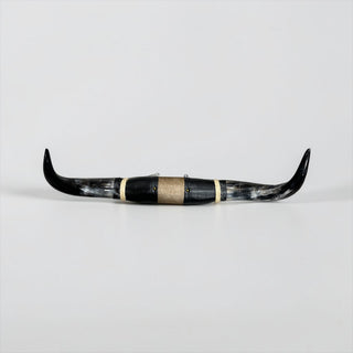 2.9ft Longhorn mount (f12)