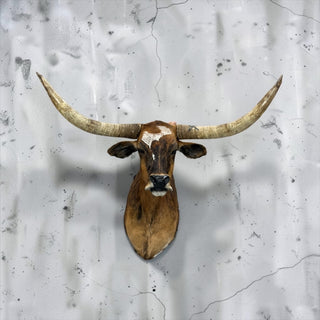 Longhorn shoulder mount