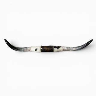 3.11’ Longhorn mount (k16)