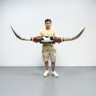 5.8ft Longhorn mount (d01)