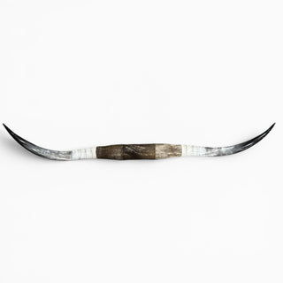 5.5’ Longhorn mount (k17)