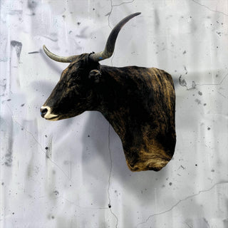 Longhorn shoulder mount