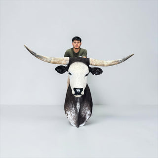 Longhorn shoulder mount