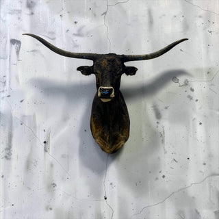 Longhorn shoulder mount