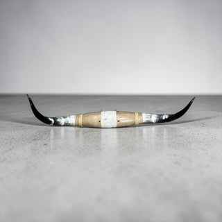 3.1ft Longhorn mount (f14)