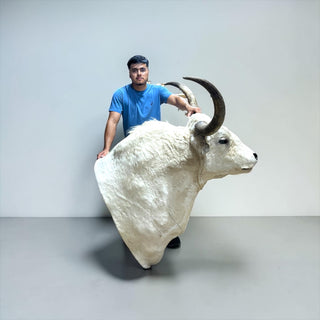 Bull shoulder mount