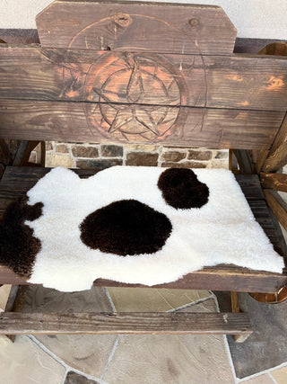 Special 2-4 shearling sheep (n)