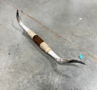 5.9ft Longhorn mount (d13)