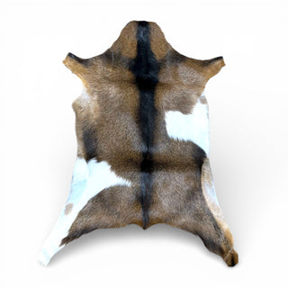 2-3’ goat hide (r15)