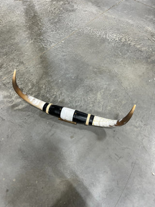2.10ft Longhorn mount (f17)