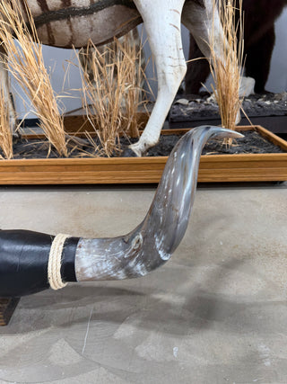 4.2’ Longhorn mount (KK02)