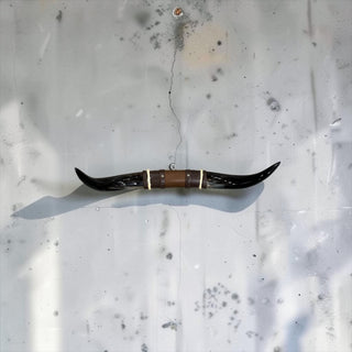 1.9ft Longhorn mount (f29)