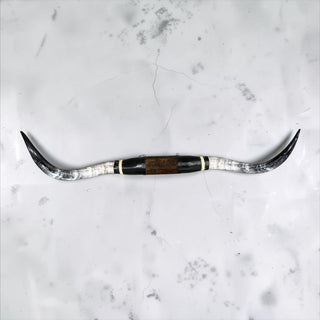4.6ft Longhorn mount (g8)